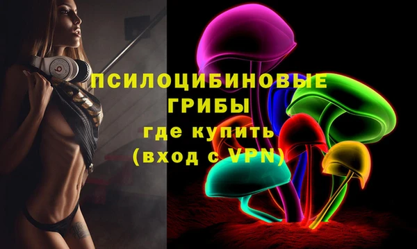 СК Алексеевка