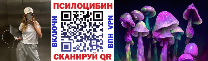 Псилоцибиновые грибы Cubensis  Крымск 